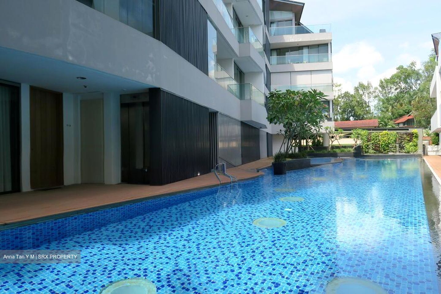 The Holland Collection (D10), Apartment #524118411